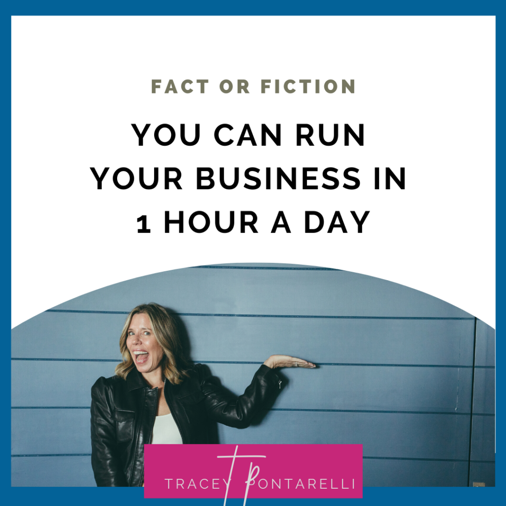 fact or fiction you can run a business in 1 hour a day